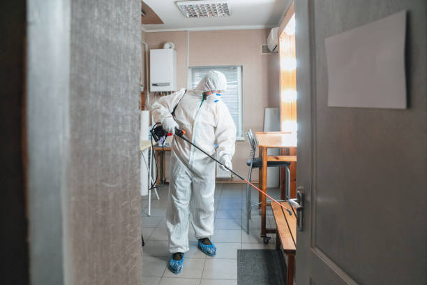 Best Basement Mold Removal  in Telford, PA