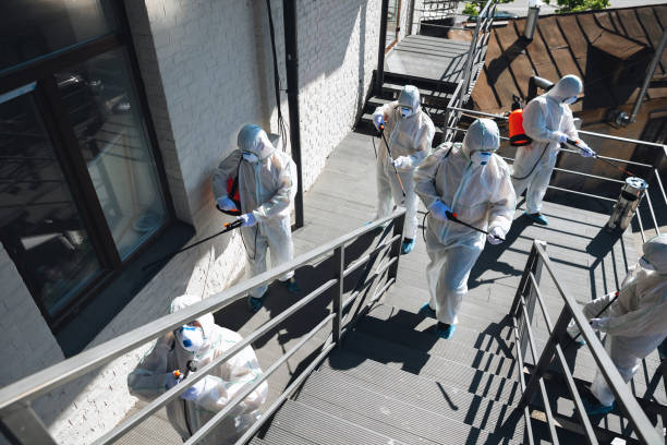 Telford, PA Mold Removal Company
