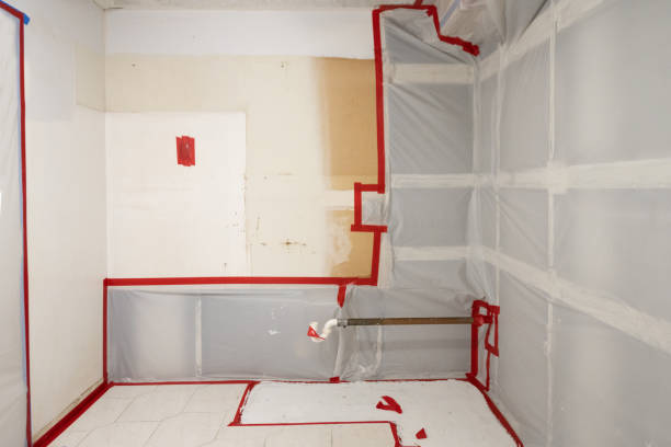 Best Mold Remediation for Healthcare Facilities  in Telford, PA