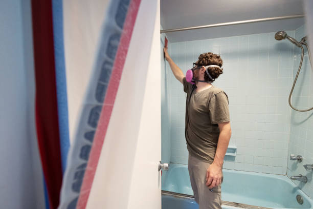 Mold Remediation for Rental Properties in Telford, PA