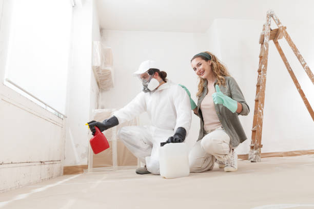 Best Mold Odor Removal Services  in Telford, PA